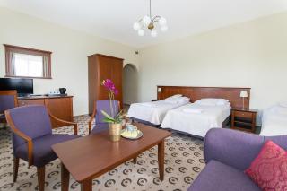 Astoria Bed & Breakfast - Swarzędz - 7
