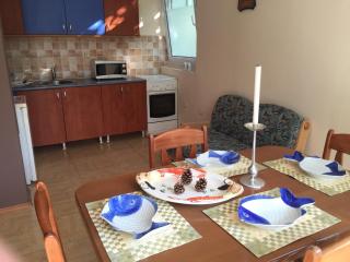 Elit Sunny Beach - Sunny Beach - 7