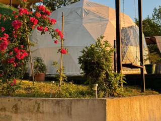 Annas Glamping - Batumi - 8