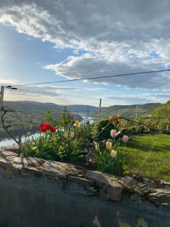 Apartment an der Mosel 2 - Graach - 1