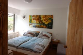 FeWo Happy Harz - Hahnenklee-Bockswiese - 4