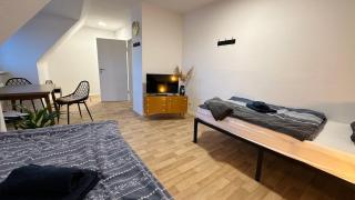 MiCasa TuСasa - 2-R-Apartment Leipziger Neuseenland Hydra - Borna - 6