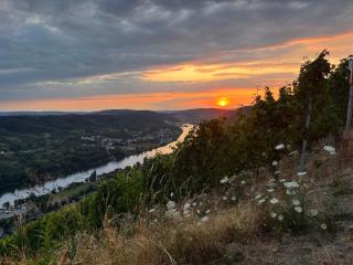 Apartment an der Mosel 2 - Graach - 8