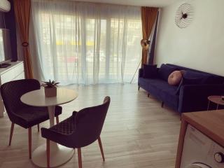 Grey apartment Bulevard no82 - 4