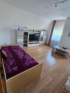 Ferienwohnung PETER - Rudolstadt - 1