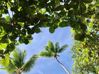 2 BR Penthouse playa bonita M302 - Las Terrenas - 5