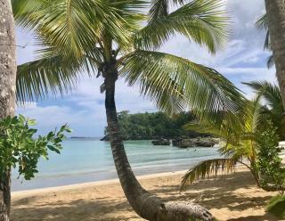 2 BR Penthouse playa bonita M302 - Las Terrenas - 3