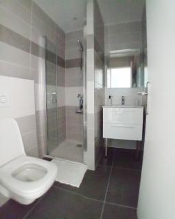T2 NEUF DANS MAISON RENOVEE - 6