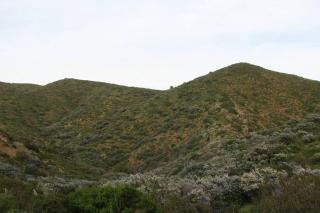 Rancho Callado - Cucapa Cabin - Tijuana - 5