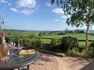 Betula Views Studio - Newent - 6