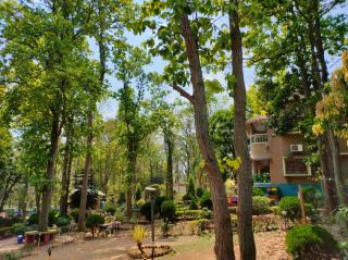 Rimil EcoTourism - Jhilimili - 9