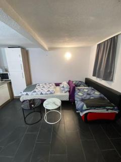Appartement Somptueux a Unterheinriet - 4