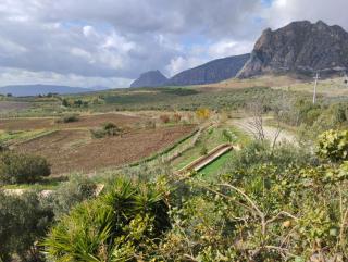 Agriturismo Masseria La Chiusa - San Giuseppe Jato - 9
