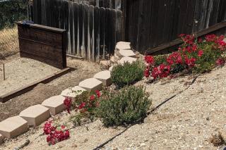 Manzanita Manor-Whimsical art & near downtown - Paso Robles - 3