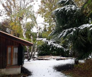 Departamento en alquiler temporario - San Carlos de Bariloche - 0