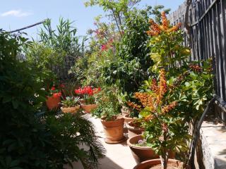 250 metres from the sea an independent tiny house with a yard full of flowers! Spitaki the Little House! - 8