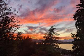 Urban Outlook - Port Orchard - 9