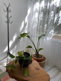 Narlıbahçe Home - Urla - 9