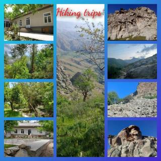 Hostel Hamza - - 0