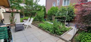 Garden Eden - 2