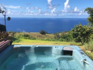 Waipio Ocean View Oasis - Kukuihaele - 4