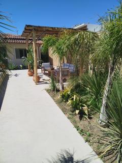 Emina Palms - 9