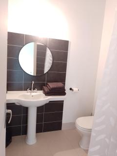 Domaine de Lamagistère - Gite de groupe - Piscine - 1