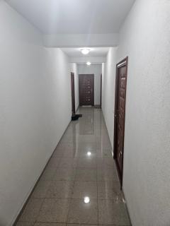 Apartman Aladin Sutomore - Sutomore - 1