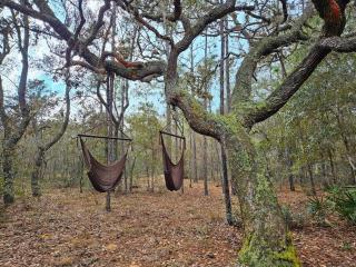 The Hideaway - Centrally located between Crystal River & Inverness - 1
