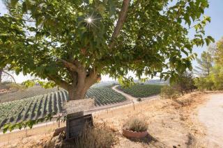 Vineyard & Valley View Cottage-Hot Tub, Wine Fridg - Templeton - 5