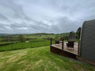 The Pod Patch - Bryn Pod - Bishops Castle - 2