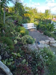 VILLA FLEURS A PAPILLONS Diamant-Anses d'arlet - Le Diamant - 5