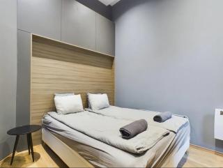 Cosy Gray Apartment in Heart of City - Budapest - 4