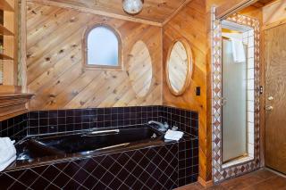 Swiss Mansion Snow Summit Private Entrance - Big Bear Lake - 3