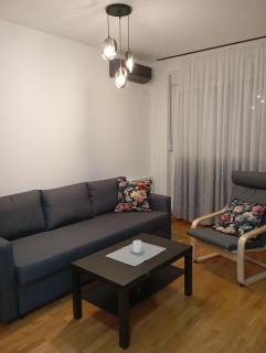 Antique Danube apartment - 1