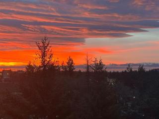 Super wow view! - Victoria - 3