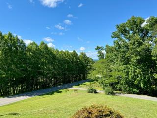 The Cozy Nest - Mount Airy - 9