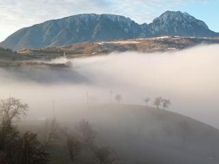 Casa din Livadă, Poiana Mărului, Brasov - 5