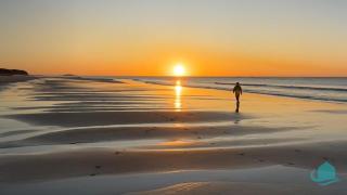 Wave Song - minutes to the shore - Caves Beach - 8