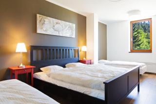 Apartmány Chata Švadlenka - Rokytnice nad Jizerou - 8