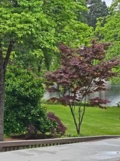 Cozy 2 Bedroom 2Bath Guest House - Snellville - 2