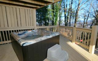 Bearfoot Lodge - Gatlinburg - 8