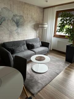 Apartament Sosnowy Zakątek - Gliwice - 8