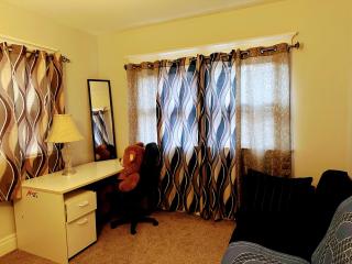 Elmwood village home - Buffalo - 5