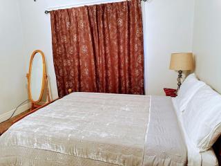 Elmwood village home - Buffalo - 9