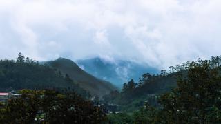 Westwood Riverside - Munnar - 5