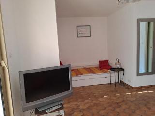 PIN ROLLAND - Saint-Mandrier-sur-Mer - 7