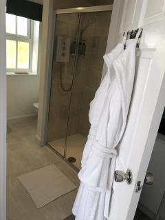 Betula Views Studio - Newent - 1