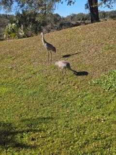 deleted account check other listing same house better pricing - 9