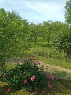 Zimmer frei "Cosmina" - 9